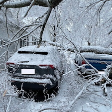 Emergency-Storm-Damage-Removal-in-Easton-MD 1